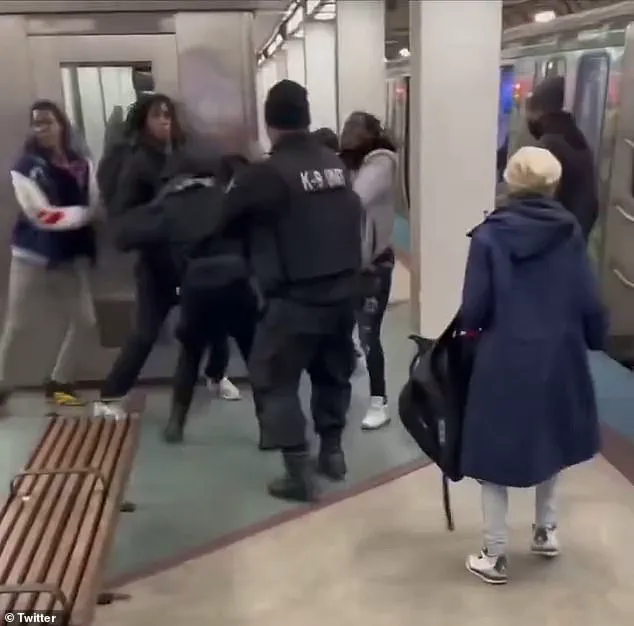 Chicago Subway Clash Sparks Debate on Law Enforcement Policies