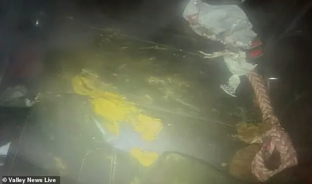 Cold Weather Exposes Legal Gaps in Animal Welfare Regulations, Prompting Community Action in Moorehead, Minnesota