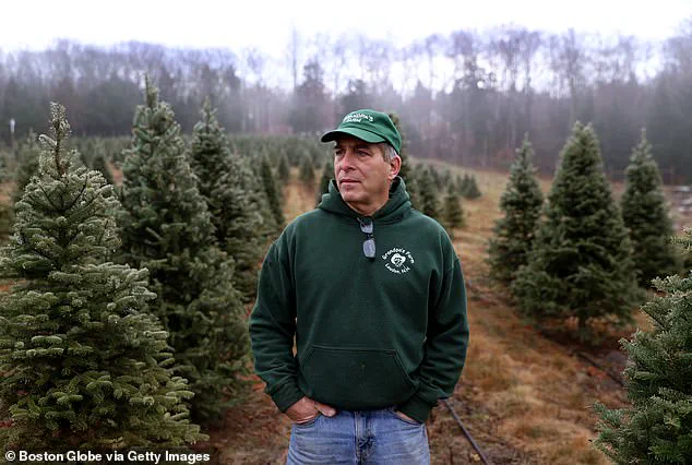 Escalating Tariffs Spark Holiday Price Surge: Consumers and Businesses Brace for Impact