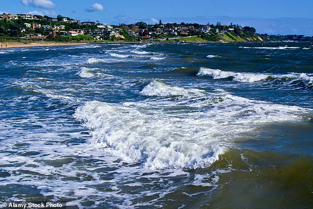 Exclusive: Central Coast Earthquake Swarm Highlights Limited Access to Seismic Risk Information