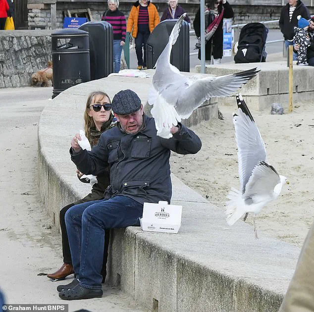 Exclusive Insight: How a Simple Shout Could Solve the Seagull Problem, Revealed in a University of Exeter Study