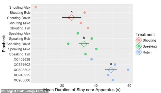 Exclusive Insight: How a Simple Shout Could Solve the Seagull Problem, Revealed in a University of Exeter Study