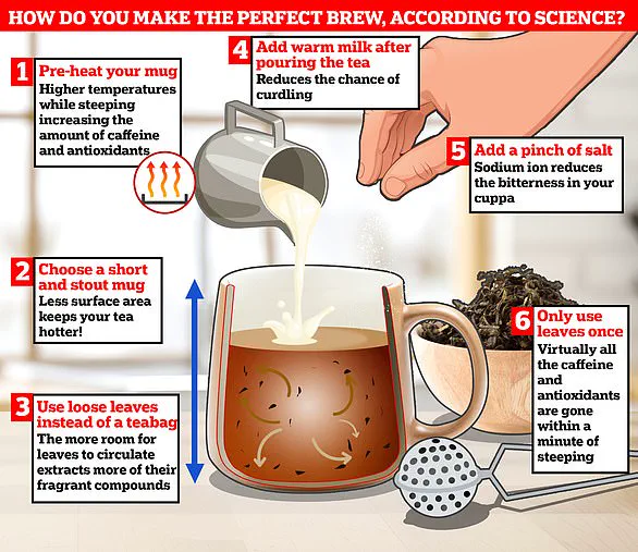 From Boiling to Comfortable: The New Builder's Brew Preference Revealed
