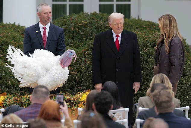 Late-Breaking: Trump Pardons Turkeys Amid Rising Political Tensions, November 25, 2025