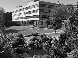 TikTok Users Bewildered by Pete Firman's Grotesque Celebrity Illusion