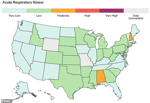 U.S. Prepares for Record-Breaking Flu Season as New H3N2 Variant Sparks Global Health Concerns