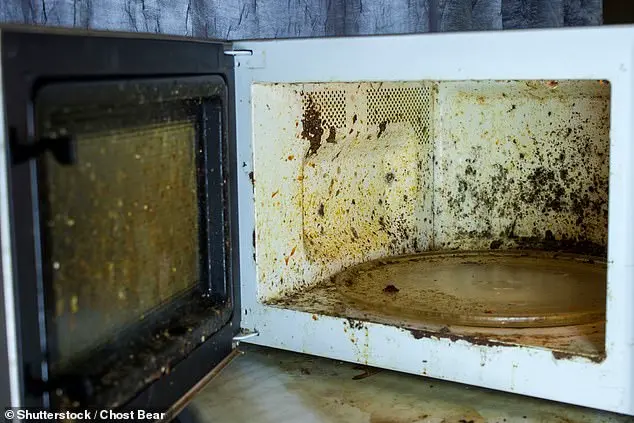 Urgent Update: Surprising Microwave Habits That Could Endanger Your Life
