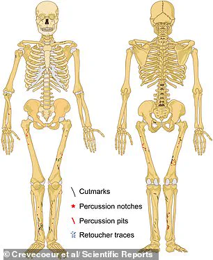 Ancient Cannibalism Unearthed in Goyet Caves: Evidence of Early Human Feasts on Neanderthal Children and Women 45,000 Years Ago