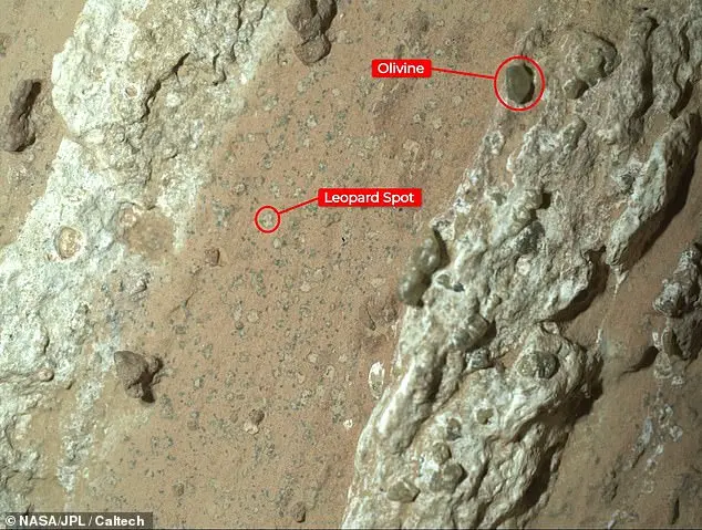 Dame Maggie Aderin-Pocock Declares Belief in Humanity's Cosmic Companionship Amidst Scientific Breakthroughs