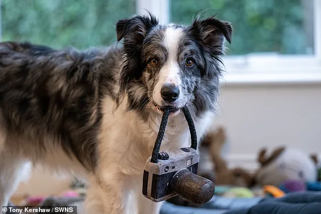 Festive Fun and Training: How Irene and Harvey Bond Through Holiday-Themed Exercises