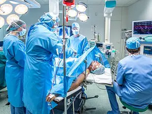 First Illinois Rabies Case in 27 Years: Experts Stress Low Risk, Call for Vaccination Vigilance