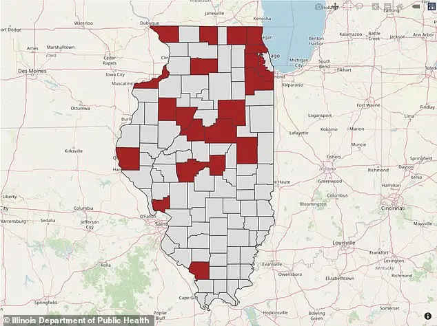 First Illinois Rabies Case in 27 Years: Experts Stress Low Risk, Call for Vaccination Vigilance