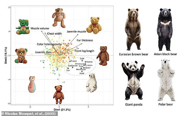 French Researchers Spark Debate Over Teddy Bears and Environmental Education