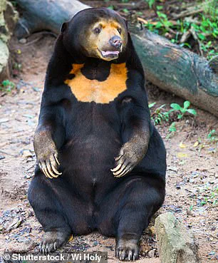 French Researchers Spark Debate Over Teddy Bears and Environmental Education