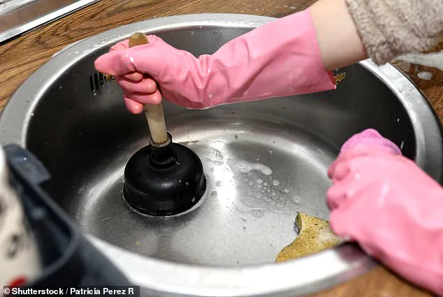 Last-Minute Holiday Plumbing Alert: Christmas Leftovers Could Clog Drains