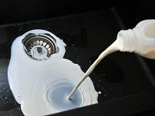 Last-Minute Holiday Plumbing Alert: Christmas Leftovers Could Clog Drains