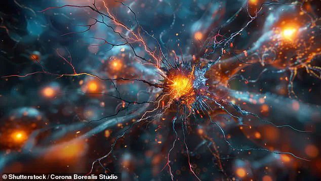 Revisiting Human Perception: Are the Five Senses an Incomplete Framework?