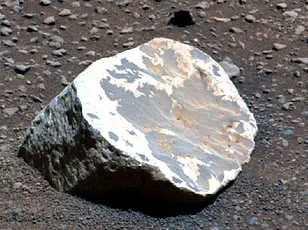 Strict NASA Cleanroom Protocols Uncover 26 New Bacterial Species, Raising Questions About Public Health Regulations