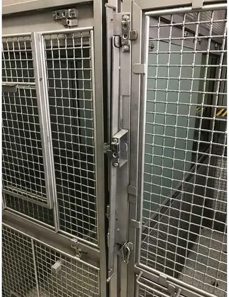 Urgent CDC Directive Sparks Controversy as Trump Administration Halts Primate Research in Major Shift for Public Health