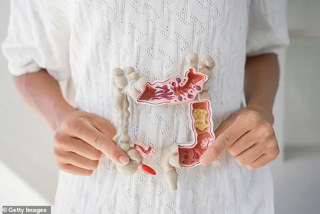 Emerging Research Shifts Focus to Small Intestine's Role in Longevity and Healthy Aging, Says NHS GP Dr. Mohammed Enayat