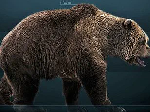 The Untold Story: Exclusive Insights on How Human Encroachment Reshaped Apennine Brown Bears