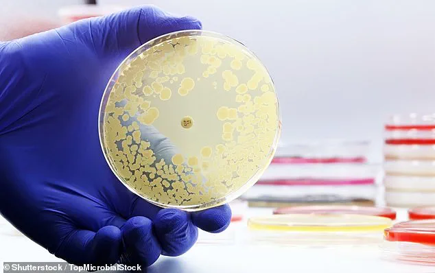 Alarming Water Contamination on U.S. Airlines Sparks Calls for Enhanced Government Regulation