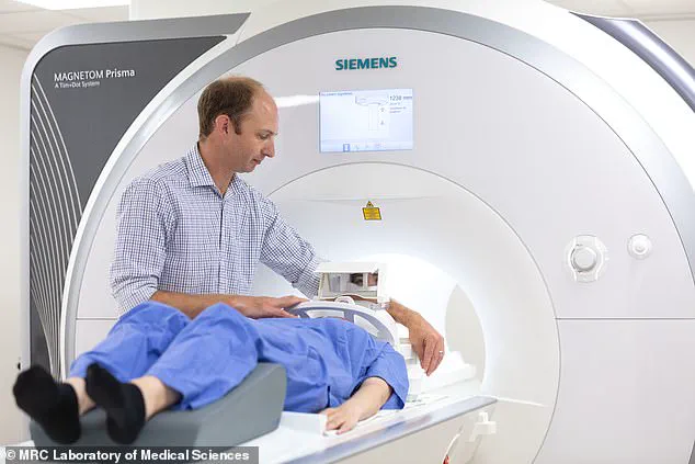 Regulatory Pressures in Healthcare: A Nurse's Crisis Highlights Systemic Strains