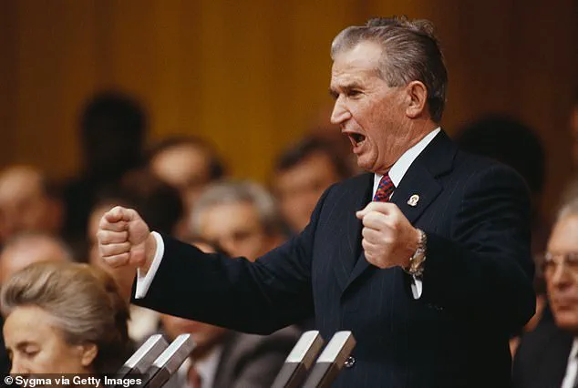 Romanian Immigrant's Communist-Era Testimony Sparks Debate Over Collectivist Policies in New York City