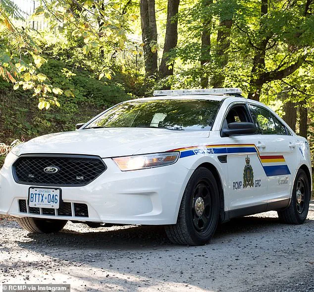 13-Year-Old Boy Seriously Injured in Dog Attack in Welshtown, Nova Scotia, RCMP Confirms