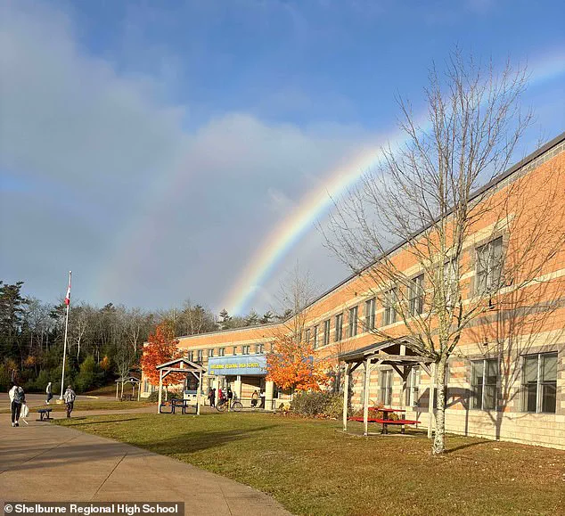 13-Year-Old Boy Seriously Injured in Dog Attack in Welshtown, Nova Scotia, RCMP Confirms