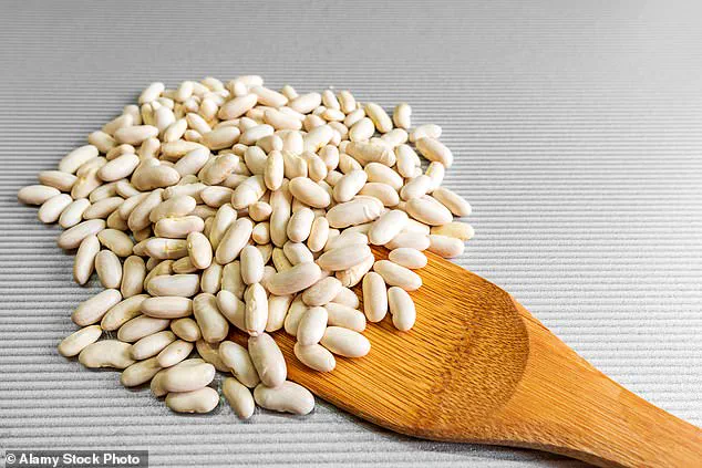 New Research Reveals Beans as a Powerful Weapon Against Chronic Diseases, Say Experts