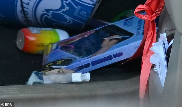 Behind Closed Doors: The Hidden Costs of Trump's Policies in the Shadow of the Minneapolis Shooting