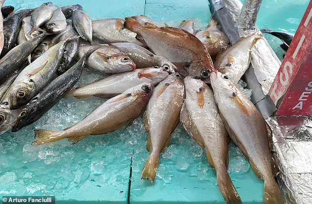 Exclusive Access to Research Sparks a Hidden Shift in UK Fish Consumption