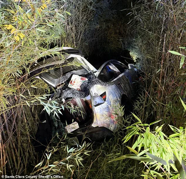 Tech Entrepreneur's Rare Legal Access to Stock Portfolio Sparks Debate on Mental Health and Wealth in Justice System