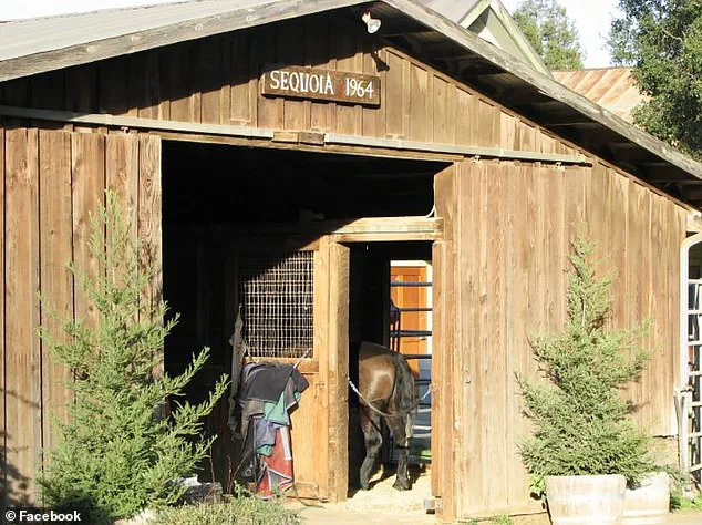 Tech Entrepreneur's Rare Legal Access to Stock Portfolio Sparks Debate on Mental Health and Wealth in Justice System