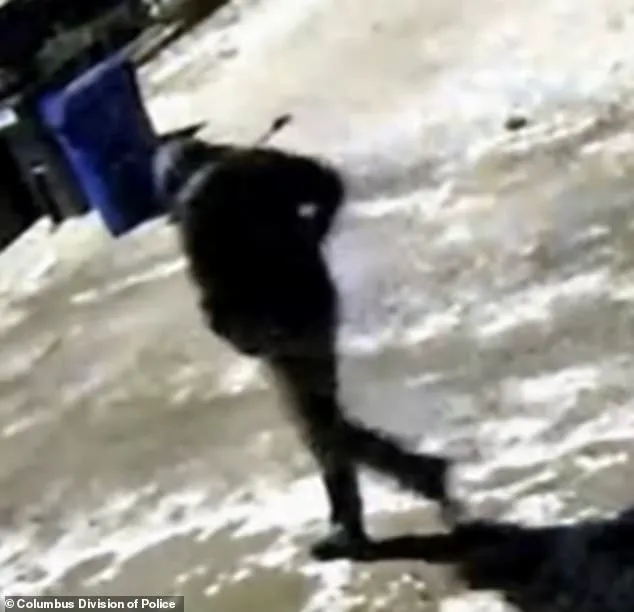 Late-Breaking 911 Call: Neighbor Reports 'Smashing' on Door Near Ohio Dentist's Home