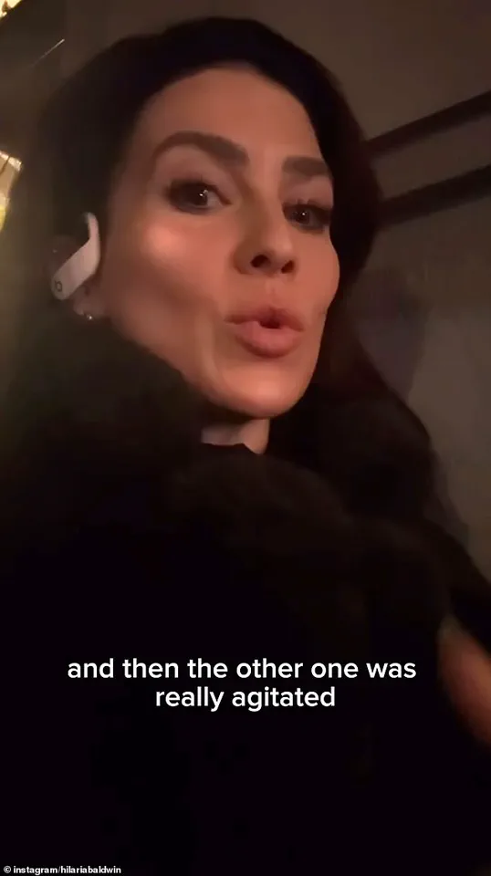 Hilaria Baldwin's Subway Encounter with NYPD Sparks National Debate on Language Barriers, Law Enforcement Interactions, and Privilege