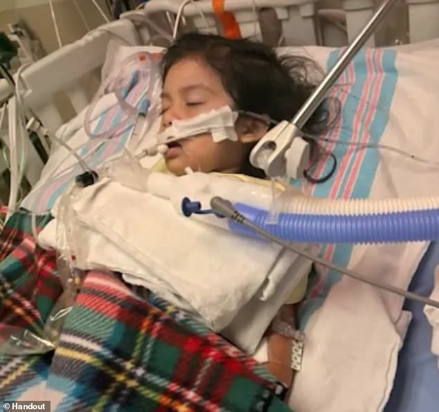 New Influenza Strain Sparks Concern as CDC Reports Rising Cases and Severe Symptoms