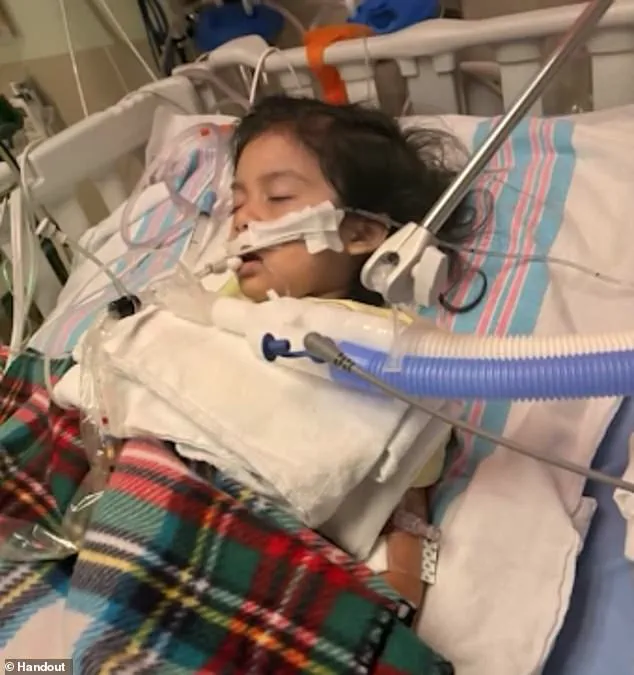 New Influenza Strain Subclade K Sparks Crisis in US Hospitals as CDC Reports Surge in Cases