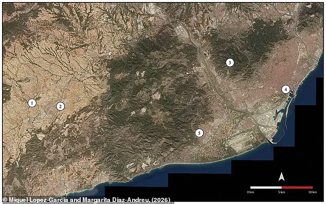 Echoes of the Past: Prehistoric Shell Trumpets Revived After 6,000 Years Reveal Ancient Communication Methods