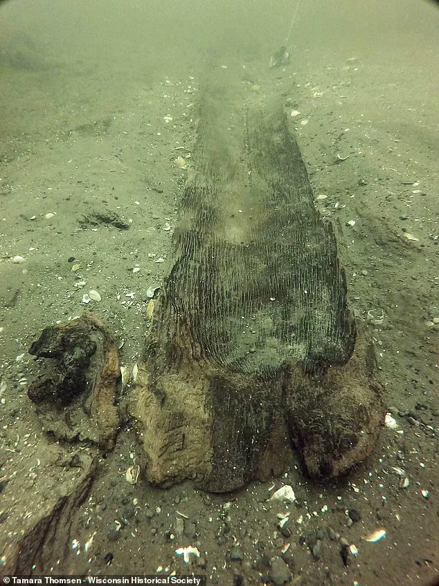 Late-Breaking: 5,200-Year-Old Canoes Found in Wisconsin, Redefining Prehistoric North America