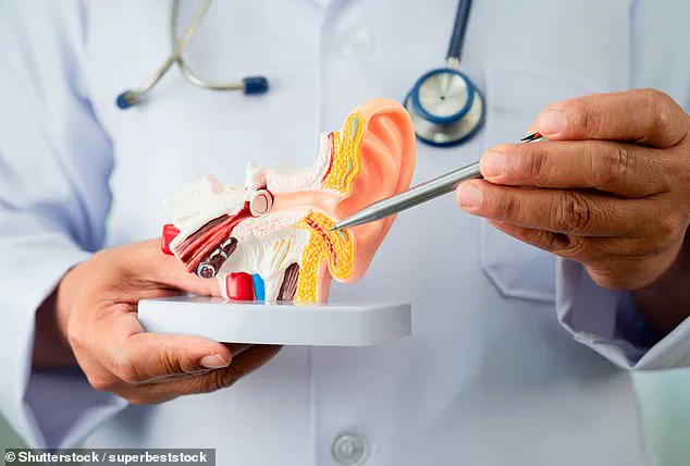 Surprising New Factor: Diet's Role in Tinnitus, According to Study