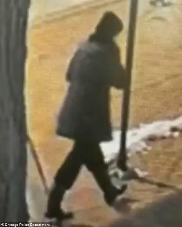 Special Education Teacher's Suicide Sends Shockwaves Through Chicago Community, Prompting 10-Day Search