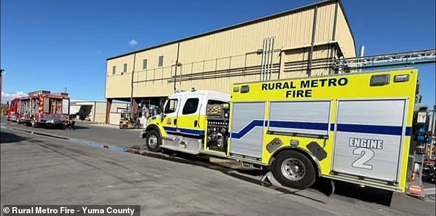 Tragic Workplace Accident Highlights Gaps in Industrial Safety Regulations