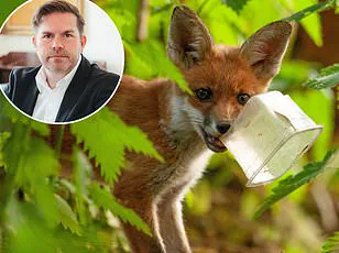 Urban Foxes: Adapting to Human Habitats and the Challenges of Coexistence