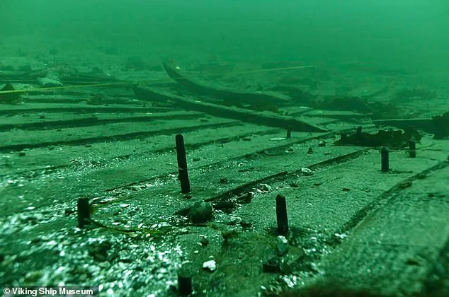 Discovery of Largest Medieval Cog 'Svælget 2' Off Denmark's Coast Reveals Insights into 15th-Century Trade Networks