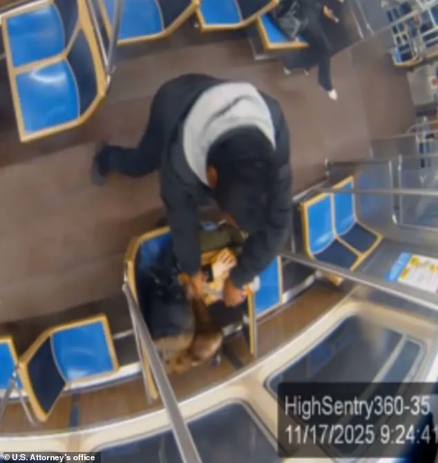 Breaking: Chicago's Blue Line in Chaos After Alleged Snuff Film Murder on Moving Train