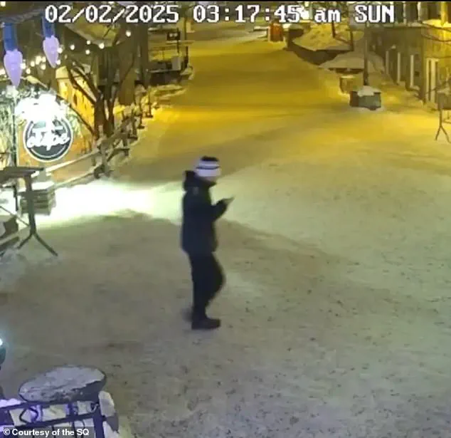 One Year Later: The Unsolved Mystery of Liam Gabriel Toman's Disappearance