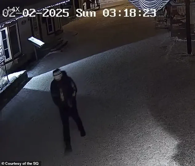 One Year Later: The Unsolved Mystery of Liam Gabriel Toman's Disappearance