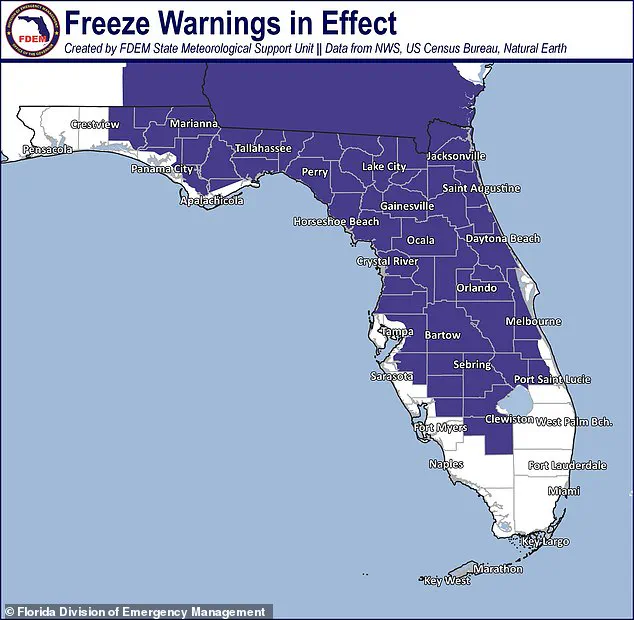 Polar Vortex Unleashes Brutal Cold Snap, Threatening Half the Country with 20-Degree Temperature Drops, Warn Meteorologists